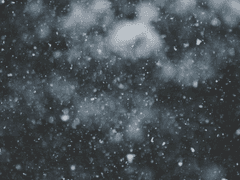 사랑방 손님과 어머니와 채희