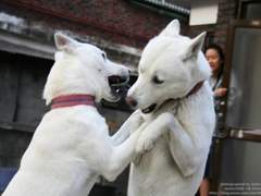 대딩이 된 지 2주차