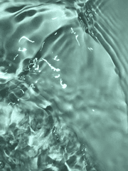 블록버스터 액션무비