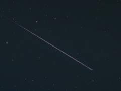 부옇게 번지는 꽃무더기 헤치며 울어보노라*