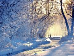 [캐스딘] apricity