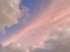 11일차. 요즘 내 삶에서 가장 만족스러운 것은 무엇인가요?