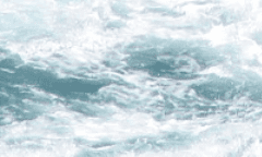 [ 리플 R. 셀레브리티 / 4학년 / 슬리데린 / 순혈 ]