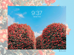 동백의 기억-아이패드용