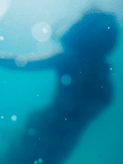 배우 빙의글 잔혹동화 인어공주