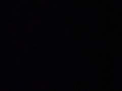 정해진 미래와 그 끝.