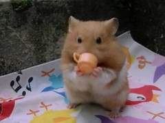 역하렘? 알쏭달쏭