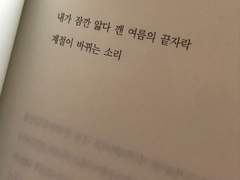 내가 잠깐 앓다 깬 여름의 끝자락