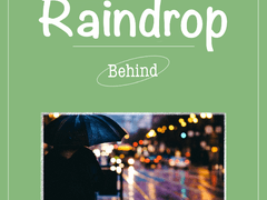 B. Raindrop