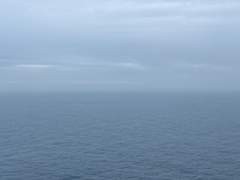 이 집은 나를 좀먹고있다.