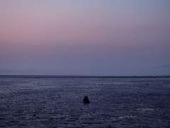 내가 하고 싶은 일, 내 직업, 그에 따른 학과 선택