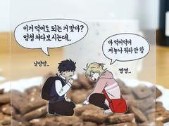 집없 투명포토카드도안