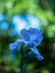 무한한 시간을 가진 나에게