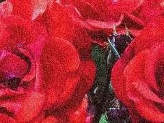 나의 불완전한 세상에서 네가,