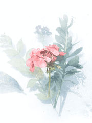 [도리벤 네임리스 짧모음]