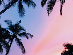 아저씨X대학생 11