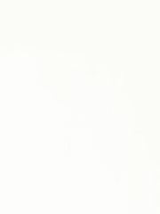 술 취하면 싸돌아다니지 말자