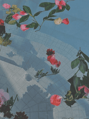 도리벤 드림 단편