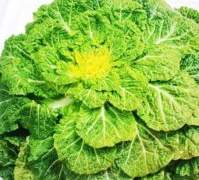 봄날의 일기/이도은