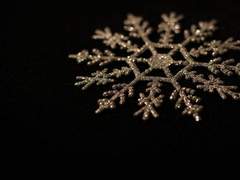 투명한 보석과 불투명한 갈색 보석