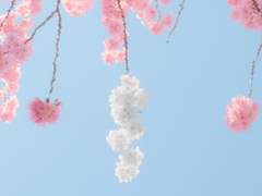 [문썬] 봄의 갈증 4