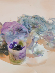 바넷사의 단편들