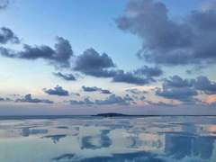 소피아 여 18 160