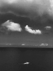 상처가 아물기까지