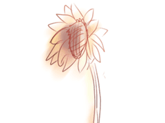 탁한 노란색을 띄고 있는—