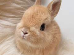 여기는 반인반수심리상담센터입니다! 10