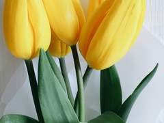 그는 분명 슬퍼보였다