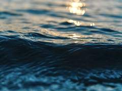 #@타로%커미션$$