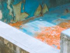 풍경 :: 나의 시선