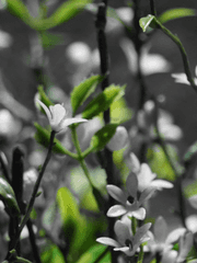 나를 위해, 그리고 당신을 위해 써내려간