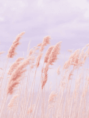 HQ 남자 고등학교