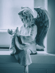 천사의 1004시간