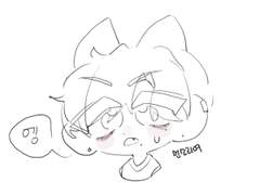 백한솔 • XY • 18 • 육식고