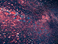 피와피 \ 올바른 관계 진전 2일차