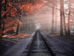 나의 미래는 어디에 있나요