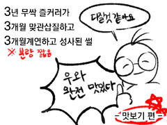 제비이채 관통후기 -맛보기편