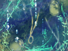 [밤보눈] 38. 잃어버린 신뢰