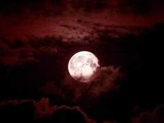 [주술회전 드림] 스쿠나 님, 도와주세요! (1)