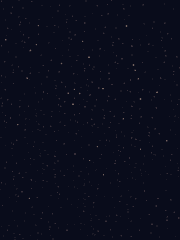 작은 별 호시의 글