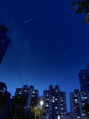 어쩌면 너를 사랑할지도 모르겠어.