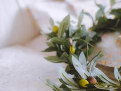 [바니타스/7] 데뷔전 (with. 알프힐드)