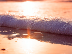 2. 반복되는 일상