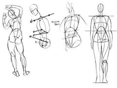 2022년 3월 12일 (토) <해부학>