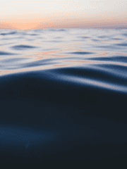 진짜 그렇게살고 싶냐?