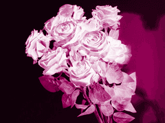 The beginning of happiness