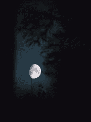 [토니피터] Don't Look Back in Anger